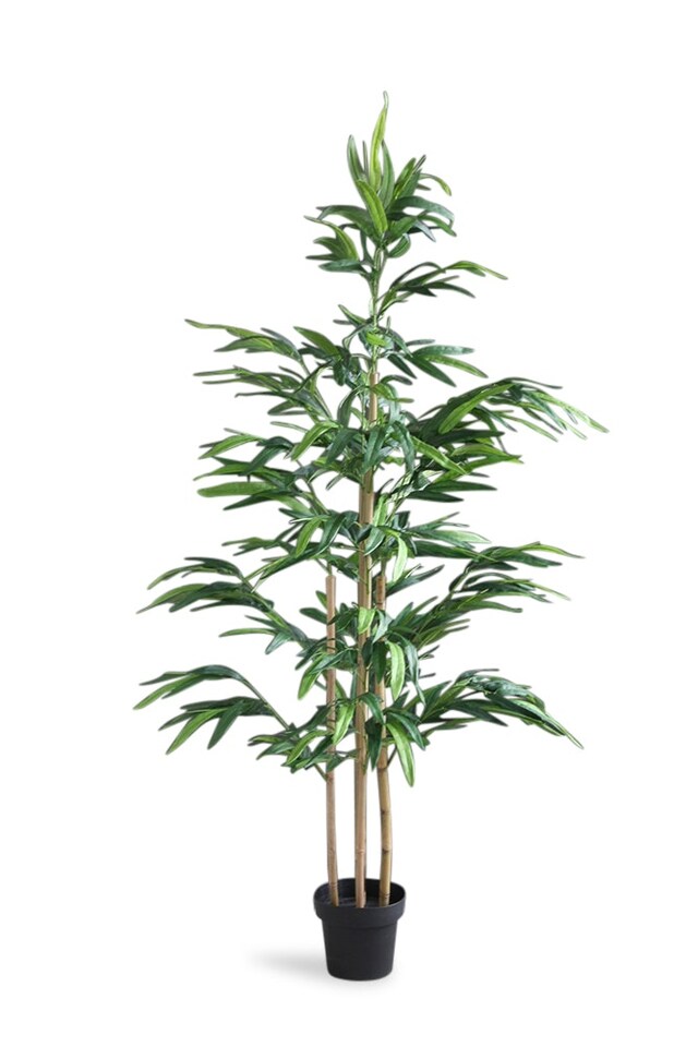 image 1 of 6Ft Bamboo | Green | One Size