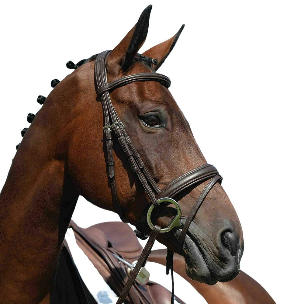 Collegiate Syntovia+ Padded Raised Flash Bridle - Black - Full