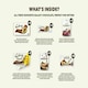 image 3 of Galaxy Variety Chocolate Hamper Gift Box | Smooth Milk | Minstrels | Counters | Ripple