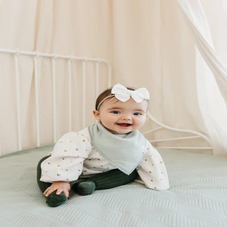 image 1 of Copper Pearl Bibs Rex 4Pk
