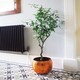 image 5 of Artificial Olive Tree Bush by Leaf Design UK Artificial Olive Tree Black Pot Botanik | Green | 4ft