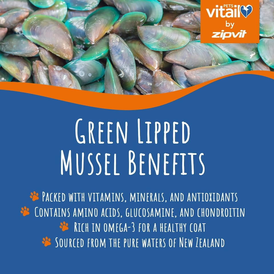 image 1 of Zipvit Green Lipped Mussel 500mg for Dogs – Joint & Coat Support, 120 Tablets