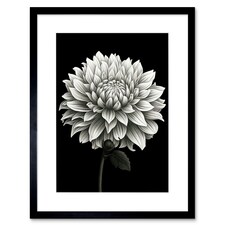 Blooming Dahlia Flower Black White Floral 9x7" Black Framed Wall Art Print