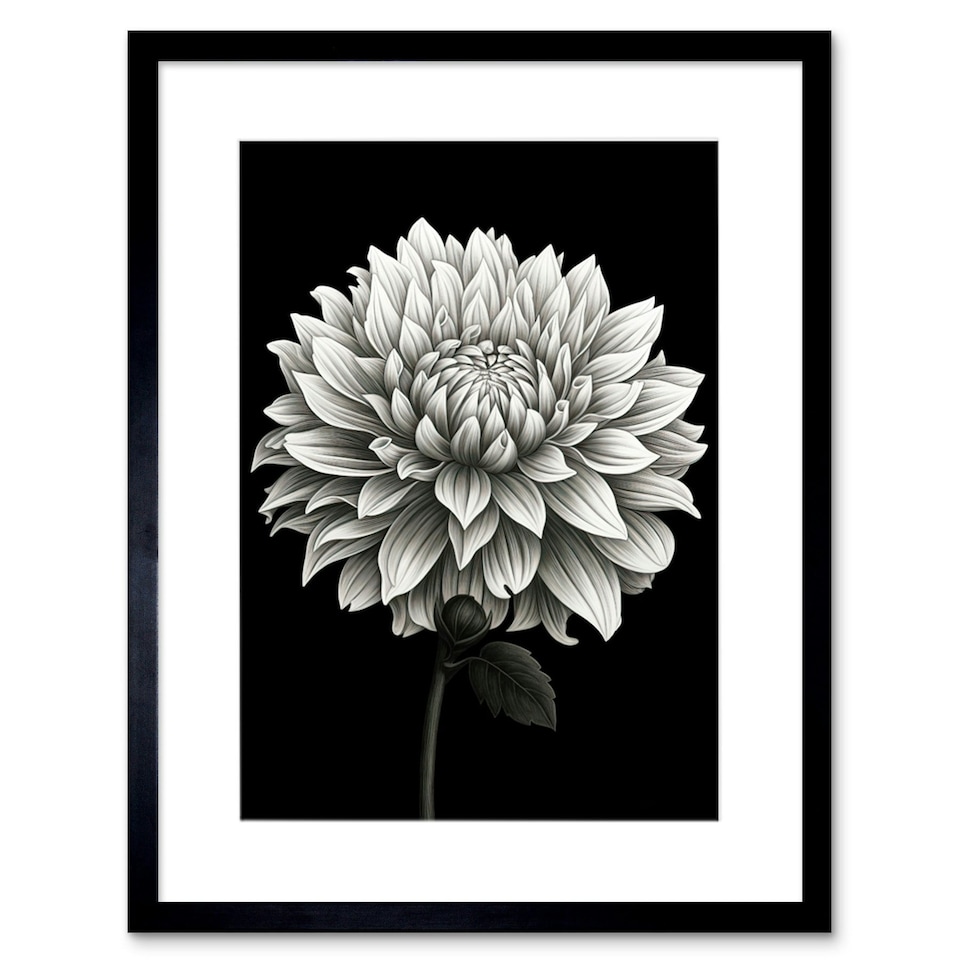 image 1 of Blooming Dahlia Flower Black White Floral 9x7" Black Framed Wall Art Print