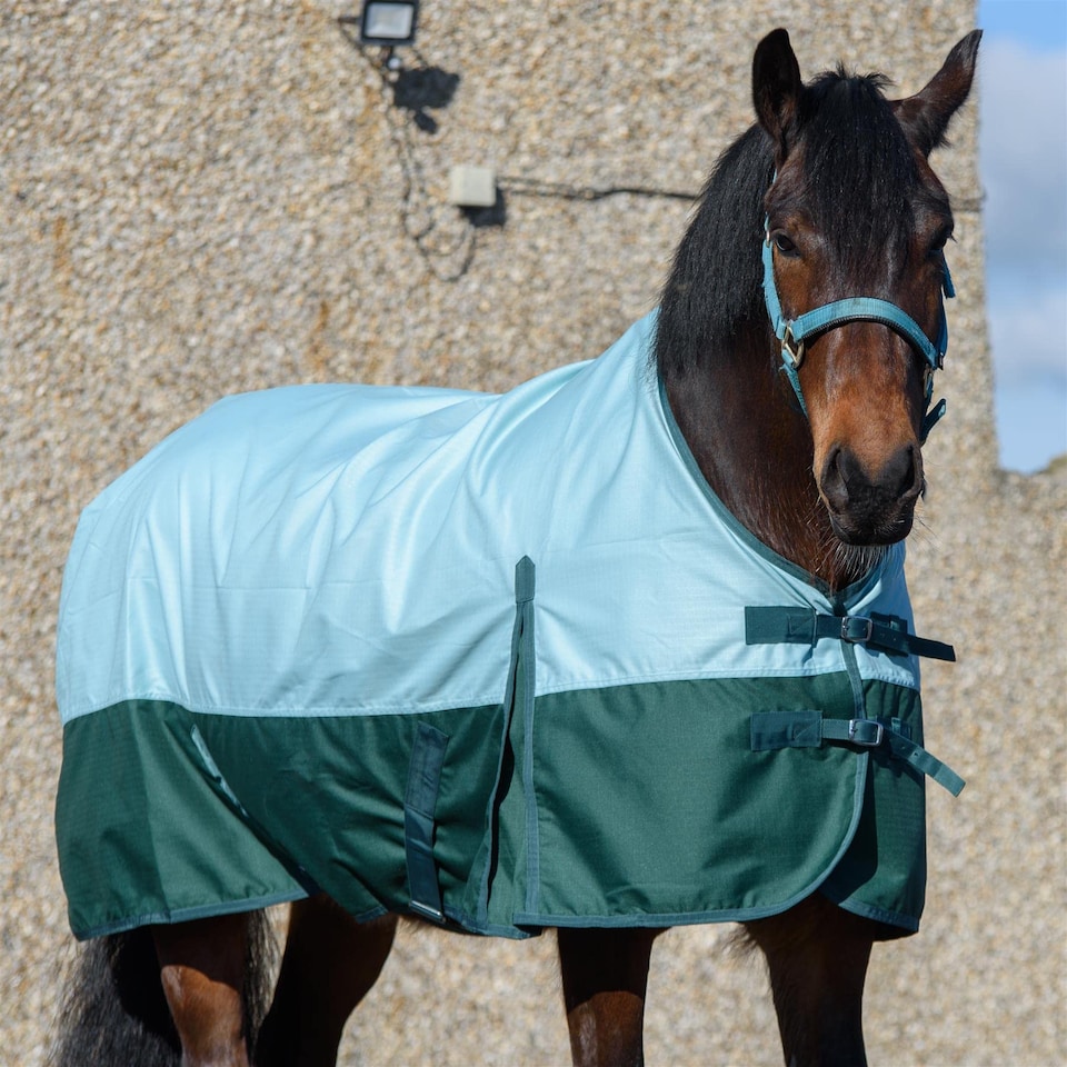 image 1 of eQuitack 600D Waterproof Horse Turnout Rug 0g No Fill Regular Neck Pista Aqua/Bottle Green 6'0''