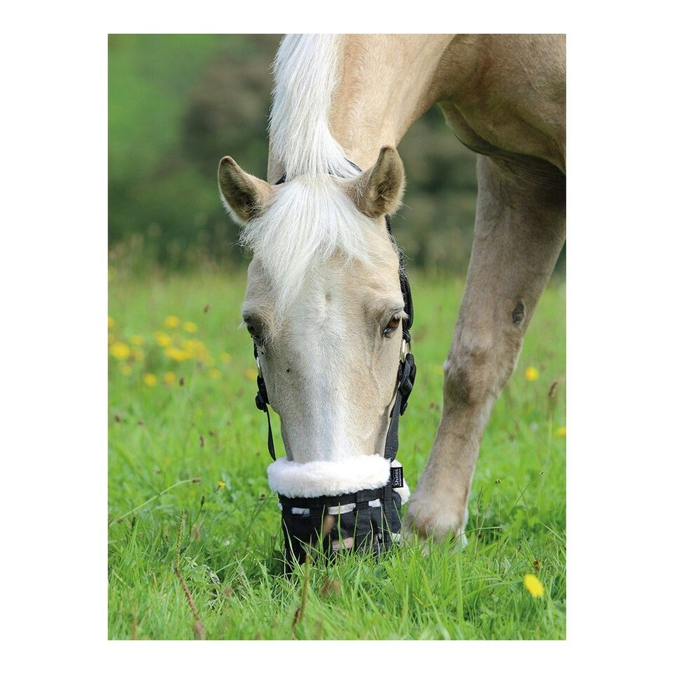 image 1 of Shires Deluxe Horse Grazing Muzzle - Black - Cob