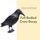 image 4 of Marco Paul Plastic Black Crow Scarer 36cm
