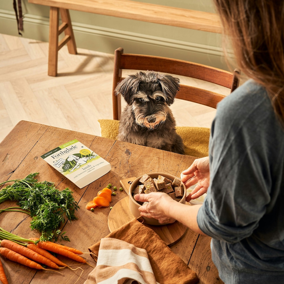 image 1 of Senior Lamb & Butternut Squash Wet Dog Food (18x395g)