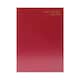 image 1 of Janrax 2025-2026 A5 Day Per Page Burgundy Academic Diary