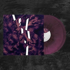 Plebeian Grandstand LP - Rien Ne Suffit (Purple/Black Galaxy Effect Vinyl)