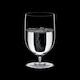 image 4 of Riedel Sommeliers Water Glass