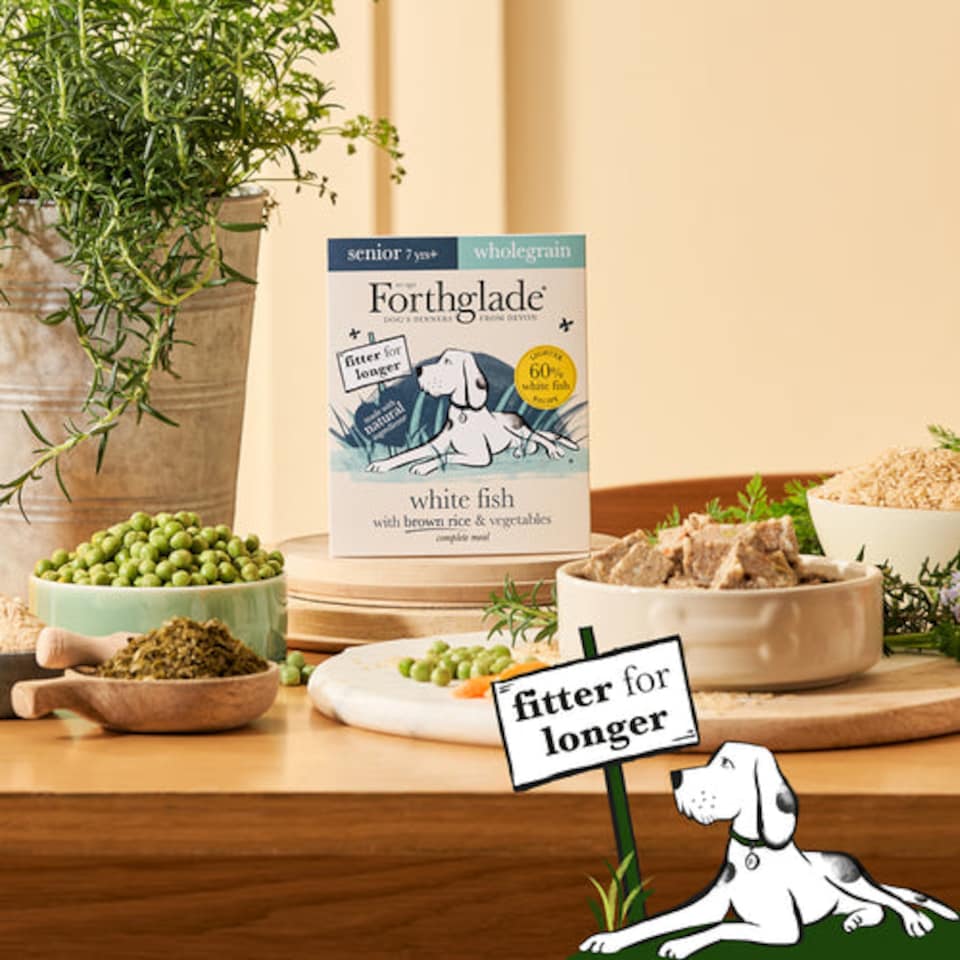 image 1 of Forthglade Wholegrain White Fish, Brown Rice and Vegetables Senior Wet Dog Food - 3 x 395g