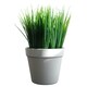image 3 of Pack of 6 x 22cm Artificial Grass Plant