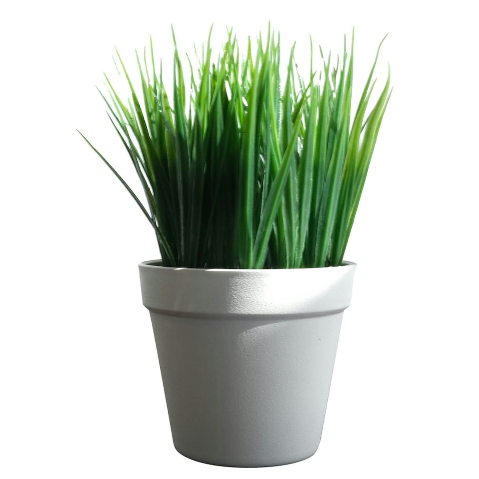 image 1 of Pack of 6 x 22cm Artificial Grass Plant