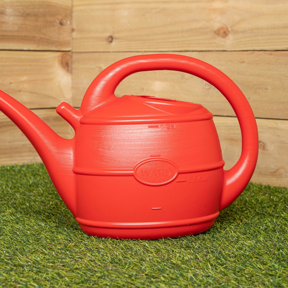 image 1 of 5L Garden Patio Ward Watering Can with Rose in Green