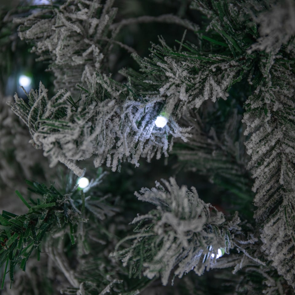 image 1 of 6ft (1.80m) Light up Prelit Snow Flocked Arbor Spruce Christmas Tree with 150 Colour Changing LEDs