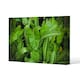 image 1 of Abstract background of dark green leaves (Canvas Print) 101 x 77 x 4cm