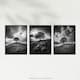 image 5 of Set of 3 Lone Tree Hill Black White Photographs Countryside Landscape Wall Art Prints 12X16 Inch