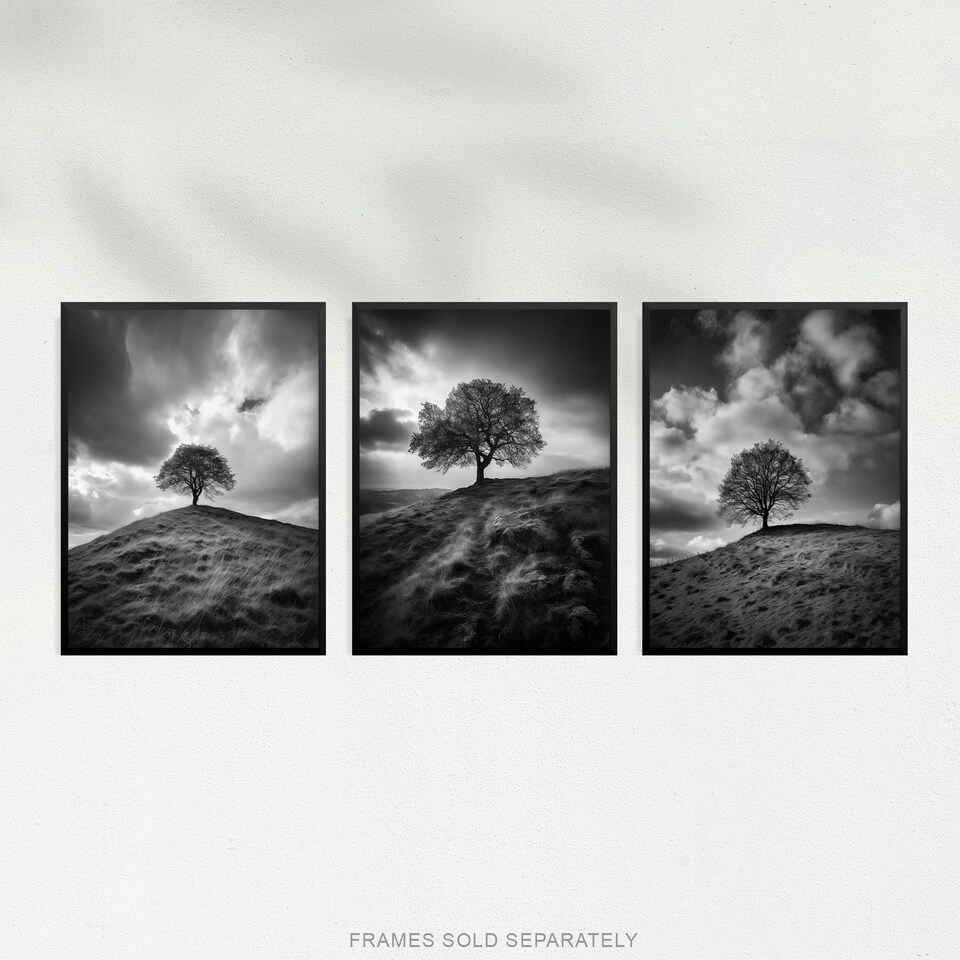 image 1 of Set of 3 Lone Tree Hill Black White Photographs Countryside Landscape Wall Art Prints 12X16 Inch