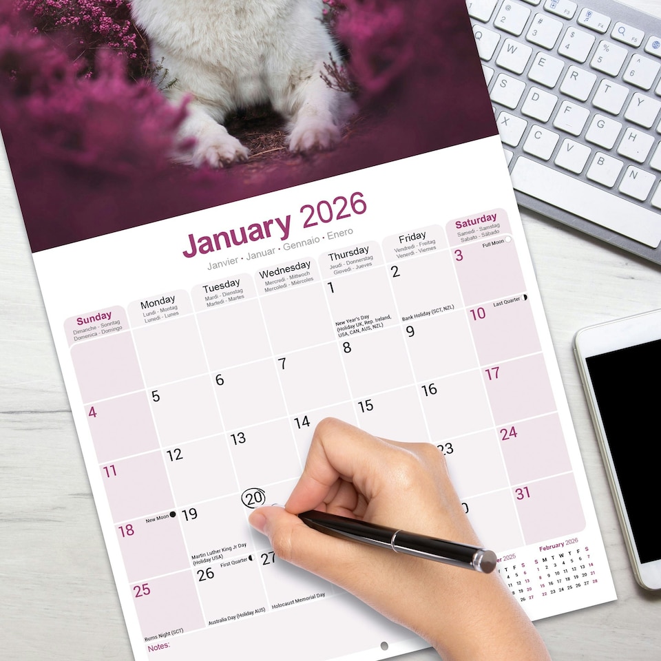 image 1 of White Shepherd 2026 Calendar | Square Wall Calendar | Dog Breed Gift | Plastic Free Packaging | by Avonside Publishing