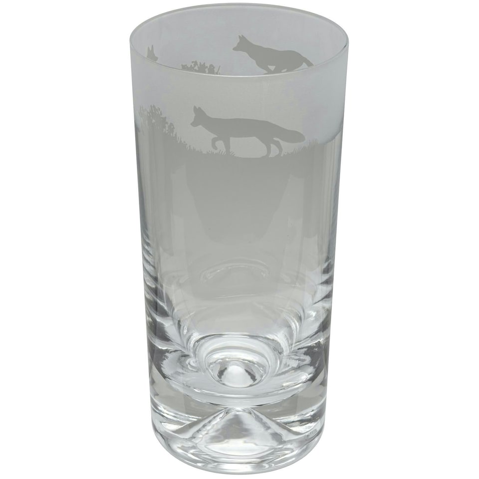 Animo Glass Highball Glass Etched Tumbler Fox