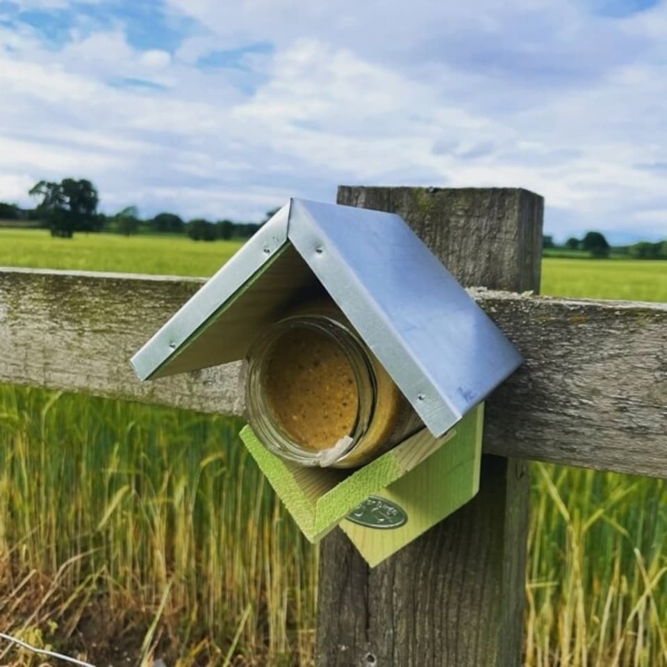 image 1 of Fallen Fruits Wooden Peanut Butter Jar Feeder | Brown | Light Brown (Green-blue hue)