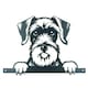 image 3 of Black Metal Peeking Schnauzer Silhouette with Fixing Plate Garden Ornament Gift