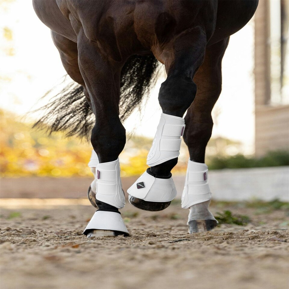 image 1 of LeMieux ProShell Over Reach Boots White | Large