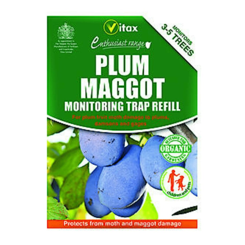 image 1 of Plum Maggot Trap Refill – Single