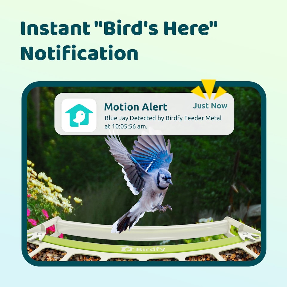 image 1 of BIRDFY FEEDER METAL AI RECOGNITION
