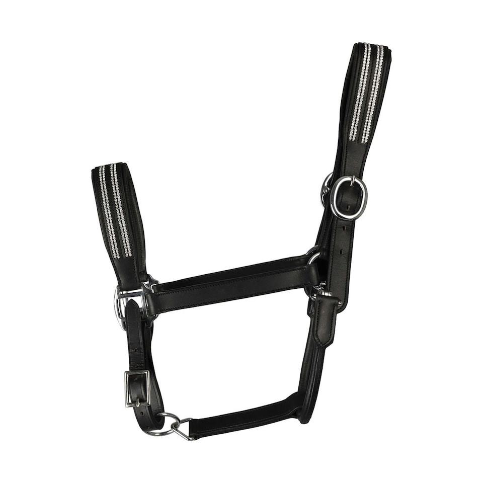 image 1 of Hy Anodize Leather Horse Headcollar - Black/Silver - Cob