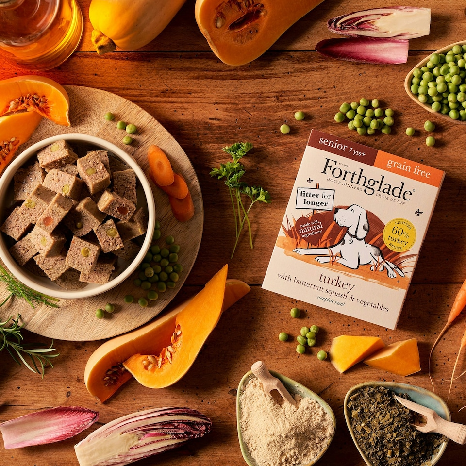 image 1 of Senior Turkey & Butternut Squash Wet Dog Food (18x395g)