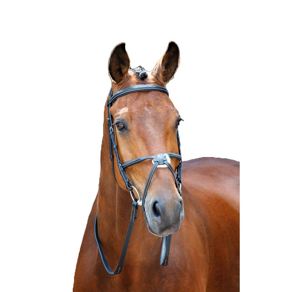 image 1 of Salisbury Brackley Leather Horse Bridle - Black - Full