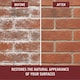 image 5 of Rustins Brick Salt Remover 4L Ready to Use Removes Salt & White Efflorescence