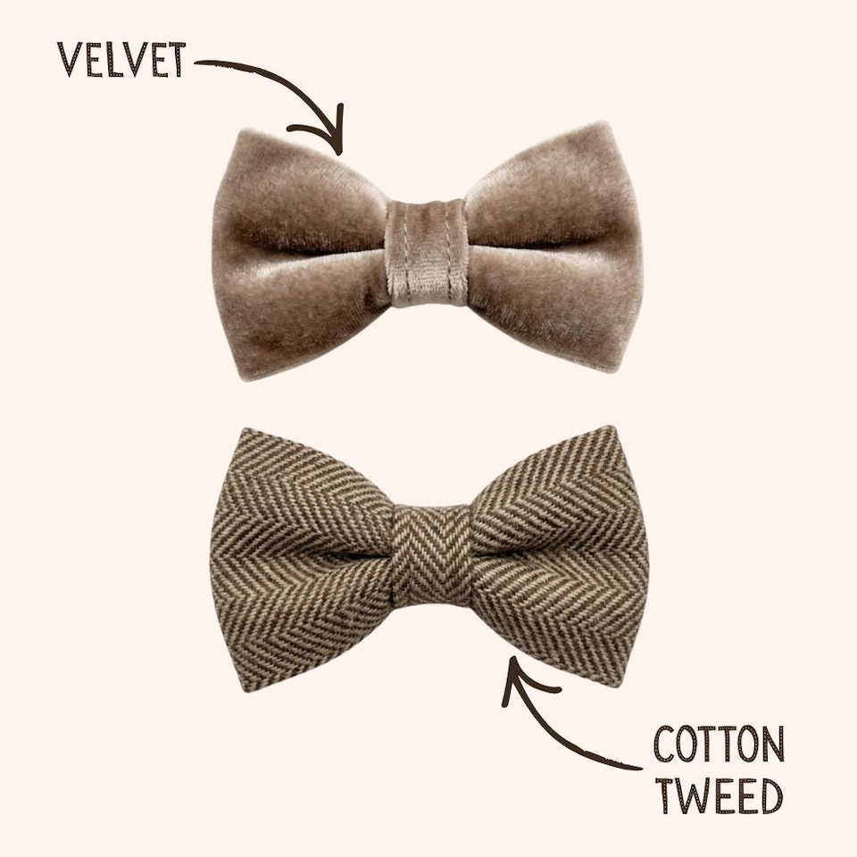 image 1 of Tails of Glory Brown Tweed and Velvet Bow Set