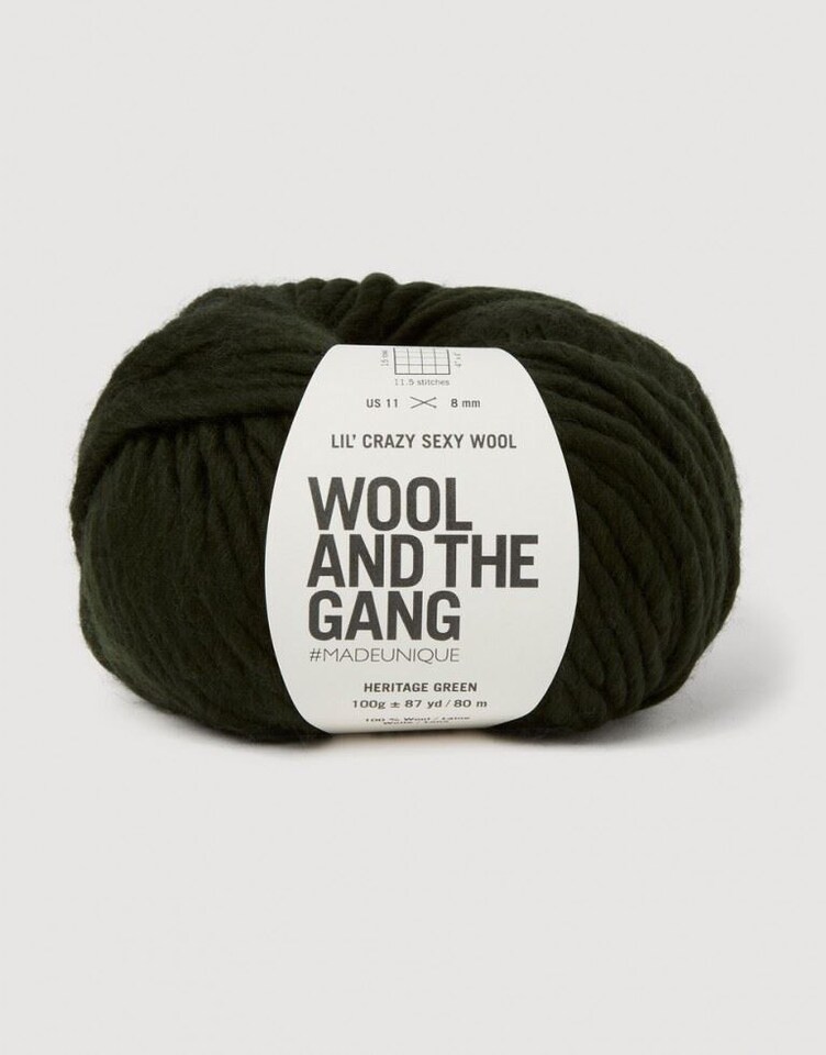 Wool and the Gang Green Lil Crazy Sexy Wool Chunky Yarn For Crochet, Knitting - per 100 gram ball