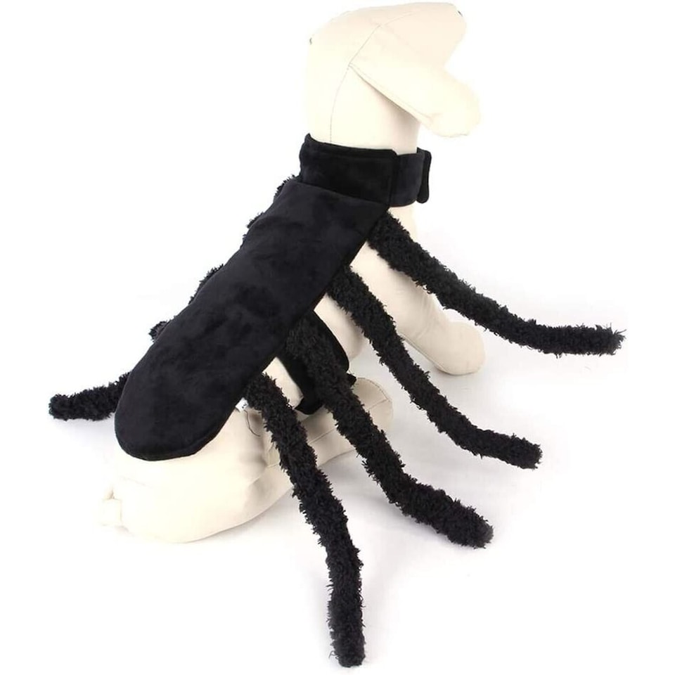 image 1 of Small Spider Pet Costume | Halloween Spider Outfit for Cats & Small Dogs