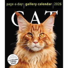 Cat Gallery Desk Calendar 2026