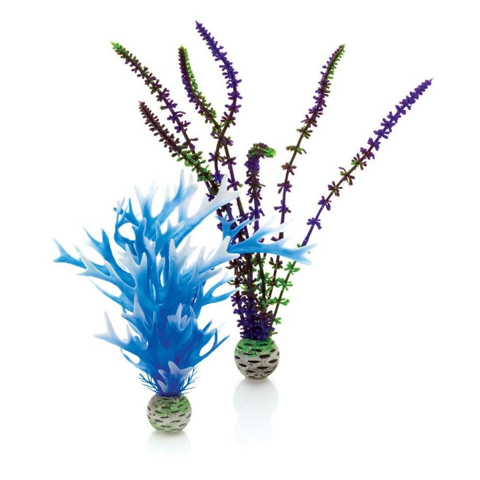 biOrb Easy Plant, Medium,Pack of 2, Blue/Purple