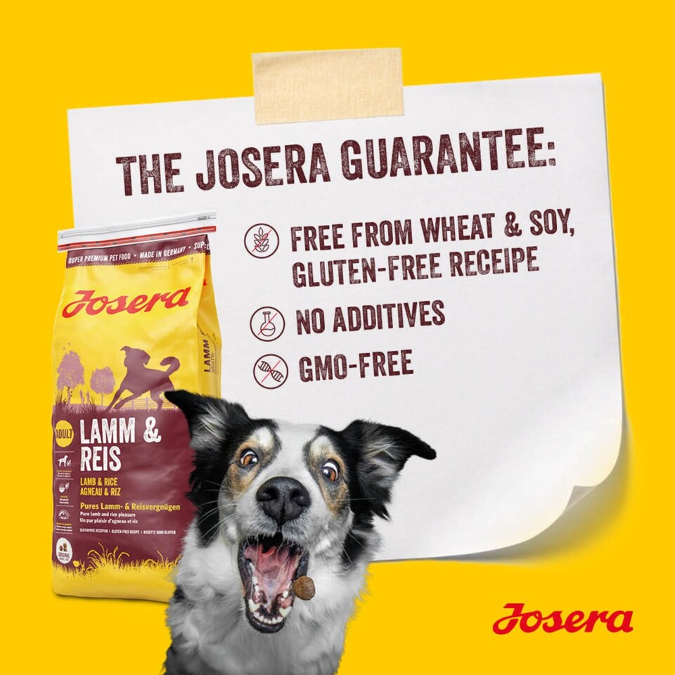image 1 of Josera Adult Lamb & Rice | Complete dry dog food for all breed sizes | Single meat protein | Low fat | Sensitive digestion | Gluten free | 3kg