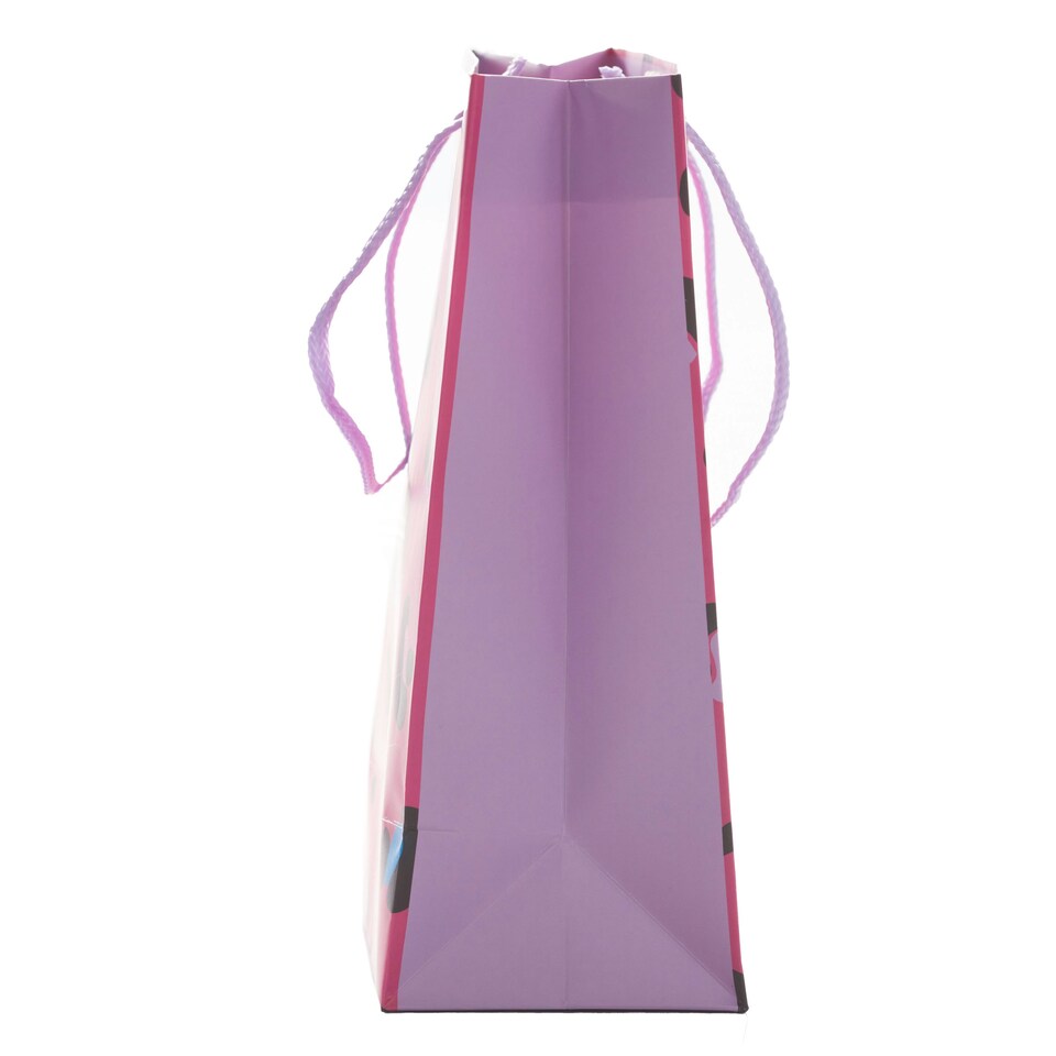 image 1 of Multipack of 3 Medium Gift Bags | Party Bags for Presents | Birthdays | For Her/Friend | Pink Animal Print Design
