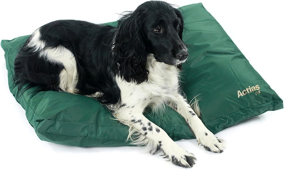 image 1 of Actiaspet - Large Waterproof Dog Bed | Green, 90 x 70 x 10 cm