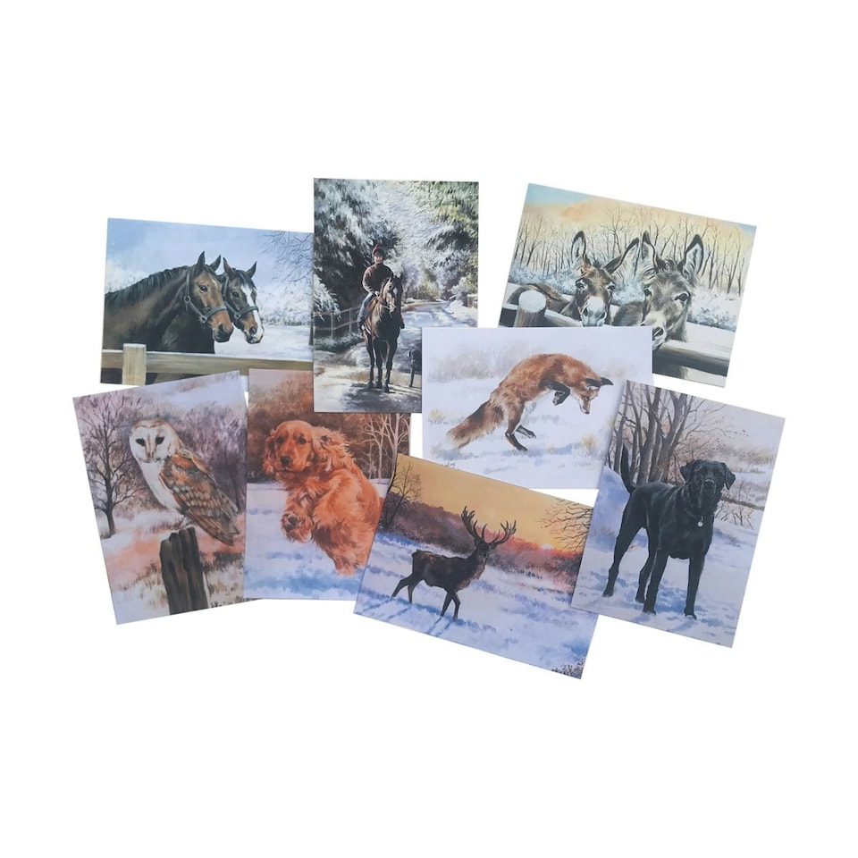 Caroline Cook Winter Greetings Cards (Set of 16) - Multicoloured - One Size