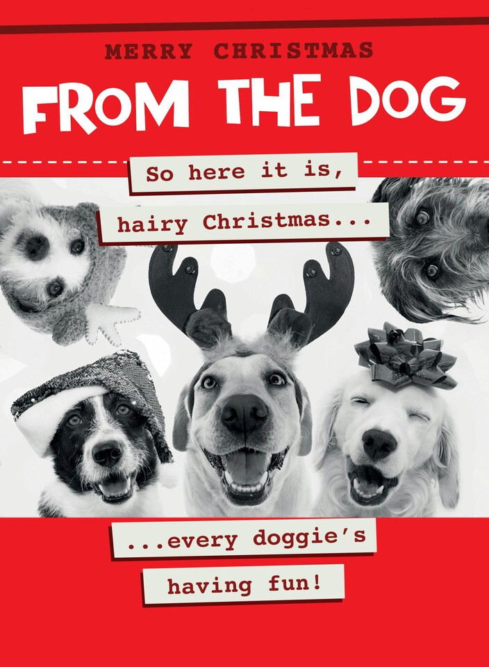 image 1 of Every Doggie's Having Fun! - Funny From The Dog Christmas Card