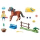 image 2 of Playmobil Country Collectible Welsh Pony Figure Pack with Accessories