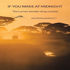 If You Wake at Midnight Paperback Book