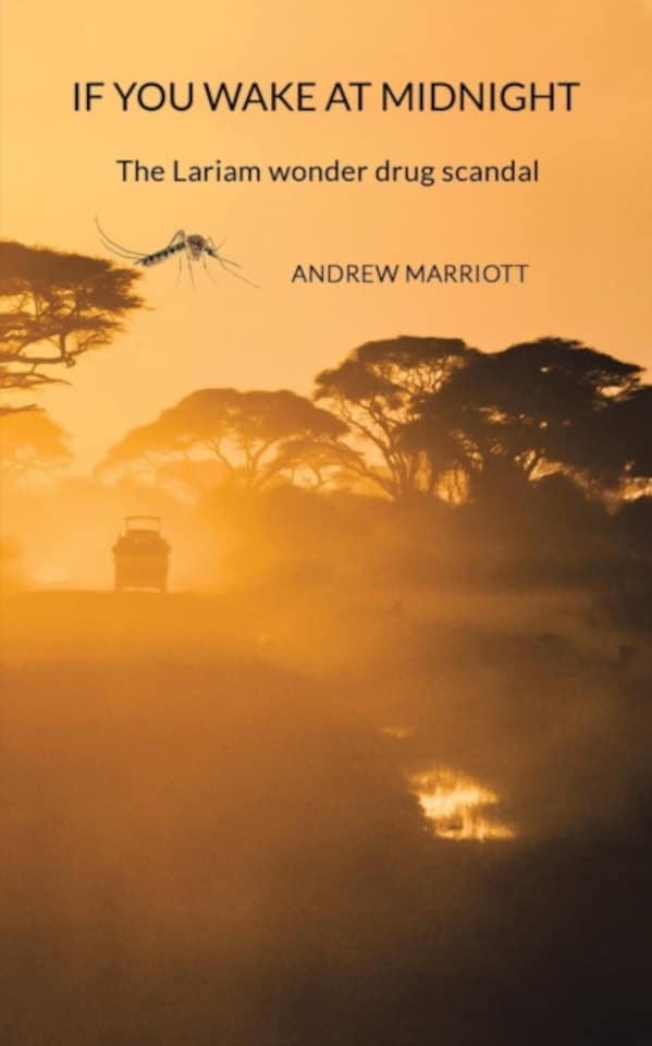 If You Wake at Midnight Paperback Book
