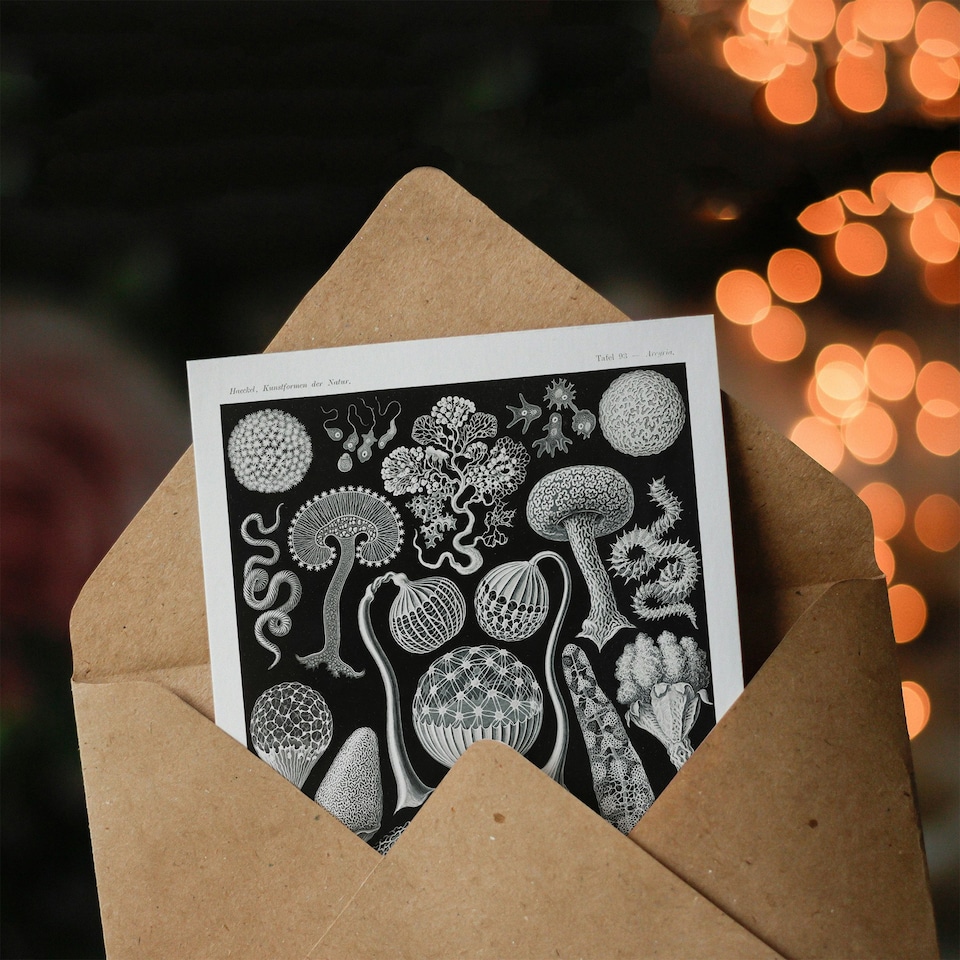 image 1 of Ernst Haeckel Art Card Mycetozoa Intricate Slime Molds