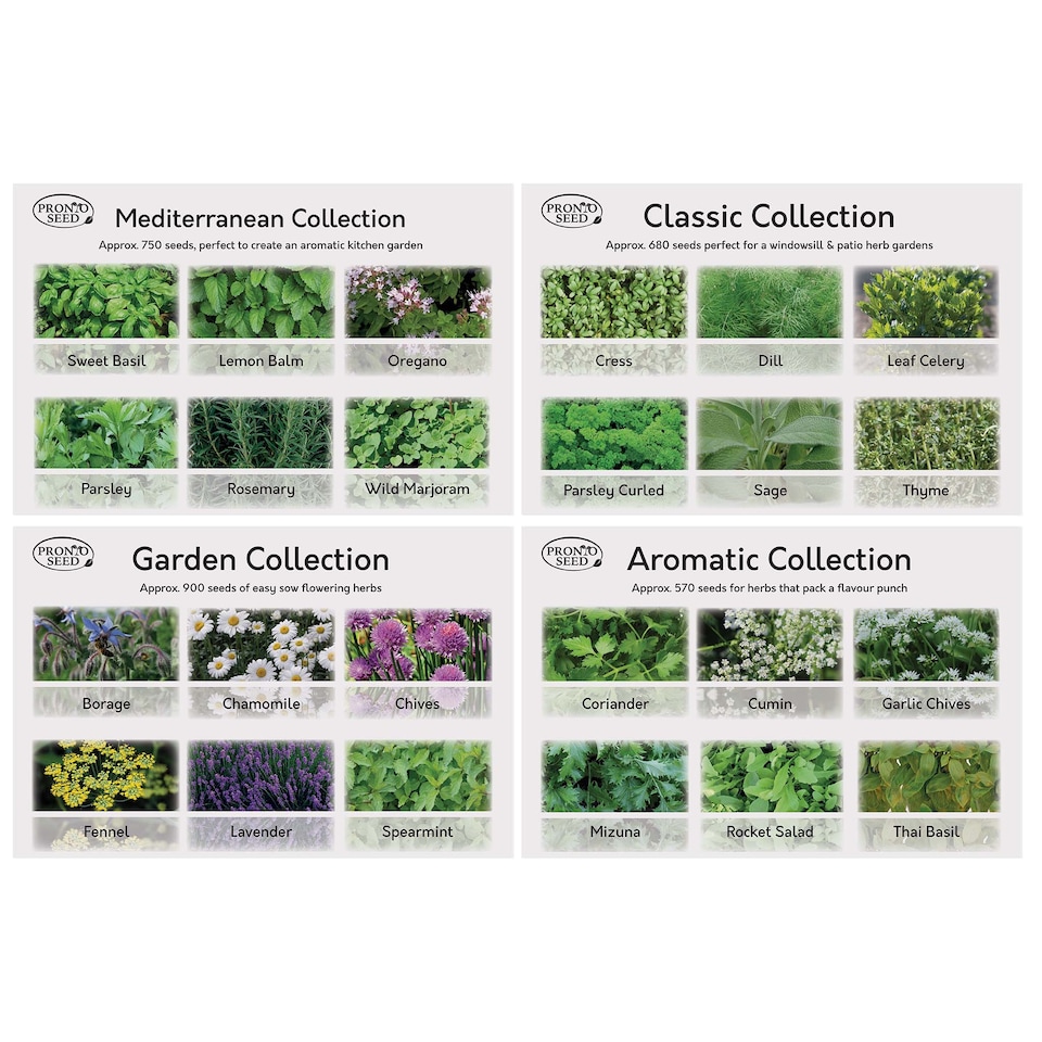 image 1 of Pronto Seed Herb Seeds Bumper Pack - 24 Culinary Herb Varieties, Over 2,600 Seeds for Kitchen & Garden Growing