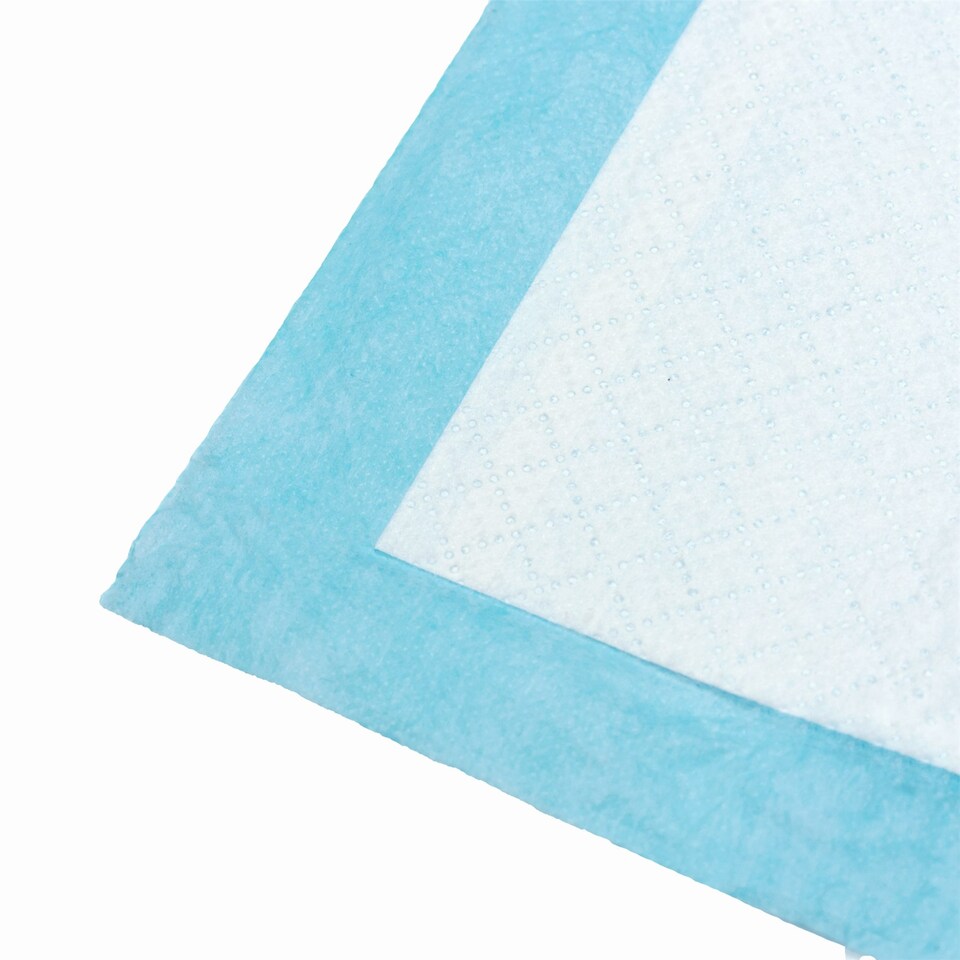 image 1 of KCT 60 x 60cm Pet Training Pads - 200 Pack